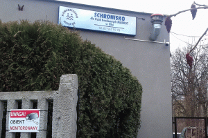 Schronisko dla bezdomnych w Ełku zmienia siedzibę. 