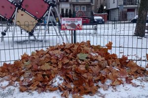 Kopce liści w centrum Ełku. Komu mają służyć?