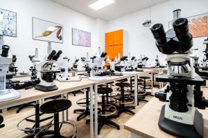 04.11.2025 - odcinek 4