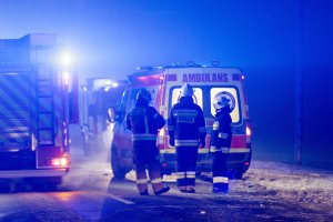 Kilkadziesiąt cieląt zginęło w pożarze koło Bartoszyc