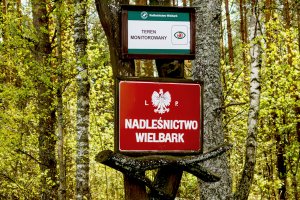 Osierocone rodzeństwo może mieszkać w leśniczówce nadleśnictwa Wielbark