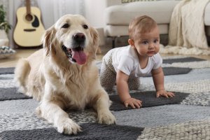 Terapeutyczna rola zwierząt w naszym życiu