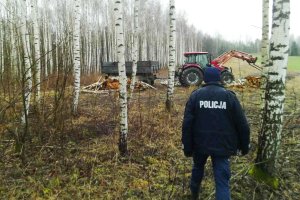 Kradli drewno. Wpadli na gorącym uczynku