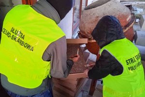 Straż graniczna zatrzymała nielegalny towar wartości ponad pół miliona złotych