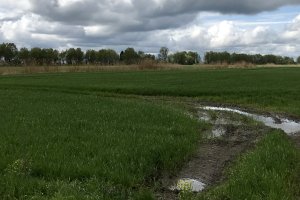 Ostrzeżenie hydrologiczne dla części województwa
