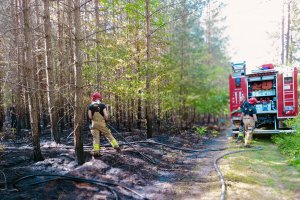 Duże zagrożenie pożarowe w lasach regionu