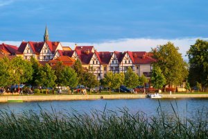 Ełk stawia na zieleń. Mieszkańcy decydują, gdzie pojawią się nowe nasadzenia