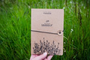 Troska o środowisko naturalne. W niedzielę rusza Tydzień Laudato Si