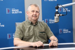 Wycinka drzew a zapotrzebowanie na drewno. Lasy Państwowe analizują sytuację