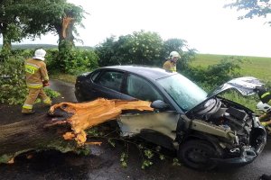 Straż pożarna: w czwartek 341 interwencji związanych z pogodą