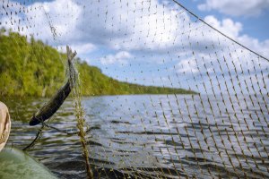 Drony do walki z kłusownikami. Straż rybacka skutecznie walczy z nielegalnym połowem