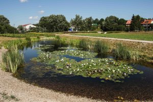 210 mln zł na zielone inwestycje. Ruszył nabór wniosków na dofinansowanie