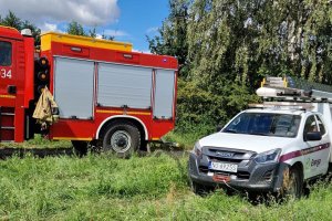 Energetycy wciąż usuwają skutki niedzielnej nawałnicy