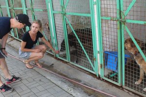 Dodatkowe boksy dla psów z Tomaryn. Budowę sfinansuje dziewięć gmin