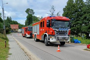 Plaga szerszeni w regionie. Straż pożarna odbiera mnóstwo zgłoszeń