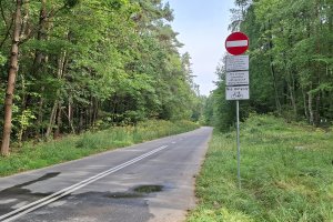 Popularna ulica nie dla aut. Skorzystają miłośnicy rekreacji