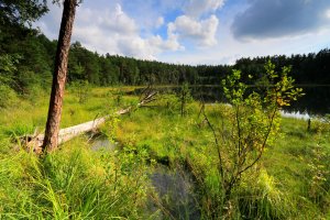 Czy Warmia i Mazury będą miały park narodowy?