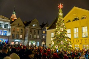 Choinka, iluminacje i wspólne śpiewanie kolęd. Olsztyn 