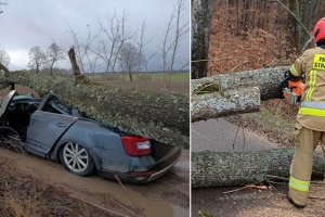 Silny wiatr w regionie. Lawinowo rośnie liczba strażackich interwencji