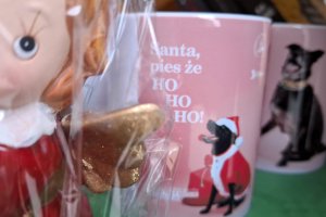 Połączyli siły, by pomóc bezdomnym zwierzętom