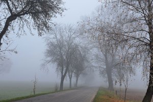 Ograniczona widzialność czy widoczność?