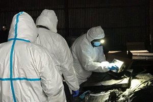 Policjanci odkryli jedno z największych laboratoriów narkotyków w regionie