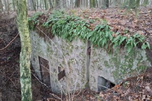 Odkryj Warmię i Mazury. Pozycja Olsztynecka w okolicy Bolejn