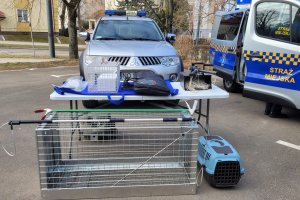 Eko-Patrol i nowe programy. Czas na kolejną kadencję Zespołu ds. Zwierząt