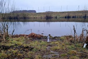 Brutalne morderstwo w Wigilię. Akt oskarżenia trafił do sądu