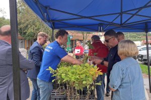 Pamiątkowy dąb i sadzonki dla mieszkańców. Nowe Miasto Lubawskie świętuje 700 lat