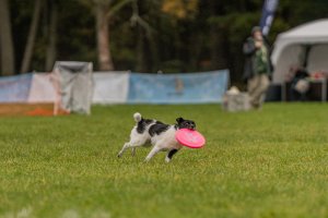 Lubawski duet z sukcesami w Battle of Titans