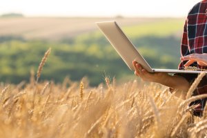 Drony i sztuczna inteligencja. Jak technologie pomagają rolnikom?