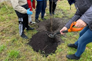 Uczniowie z Elbląga posadzili ponad 40 drzew za zebrane elektroodpady