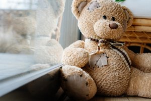 Oddaj misia na chwilę. W Ełku powstaje niezwykła wystawa