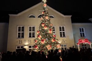 Olsztyn włączył świąteczny tryb. Mieszkańcy rozświetlili choinkę i iluminacje