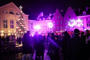 Podsumowanie olsztyńskiego jarmarku. Wystawcy i odwiedzający zachwyceni atmosferą