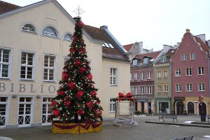 Olsztyn włącza świąteczny tryb. W sobotę rozświetlenie choinki i wyjątkowe wystawy