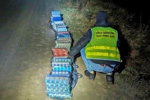 Kontrabanda ukryta w zaroślach. 47 tysięcy papierosów bez akcyzy