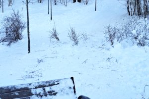 Ryzykowne zjazdy na sankach? Część mieszkańców apeluje o zabezpieczenia