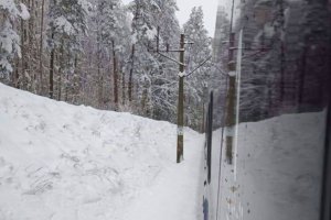 Pociągi jeżdżą planowo mimo mrozów. Przewoźnicy uspokajają pasażerów