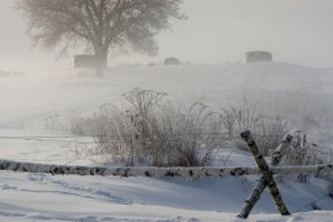 Wojsko wzmacnia wschodnią granicę. Ruszyły intensywne prace przy Tarczy Wschód