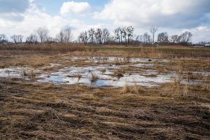Powódź minęła, problemy zostały. Rolnicy wciąż walczą o rekompensaty