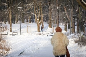 Magia słów, atencja i pączki w Bezbłędniku językowym