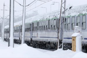 Trasa kolejowa Działdowo - Olsztyn zablokowana. Drzewo zerwało sieć trakcyjną