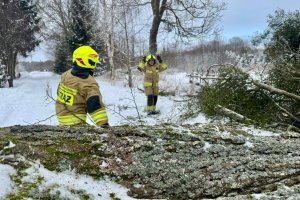 Intensywna doba strażaków. Prawie 200 zdarzeń w całym województwie