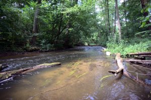 Sprzątają... rzeki. Nietypowy spływ kajakowy