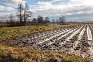 Woda na polach i widmo suszy. Trudna sytuacja rolników