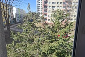 Niepełnosprawna seniorka z Olsztyna walczy o swoje „okno na świat”