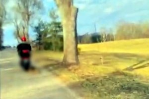 Ciągnął psa za motorowerem, zwierzę nie przeżyło. 72-latek usłyszał zarzuty