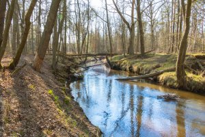 Wiosenna pogoda w Olsztynie. Temperatury jak w połowie kwietnia